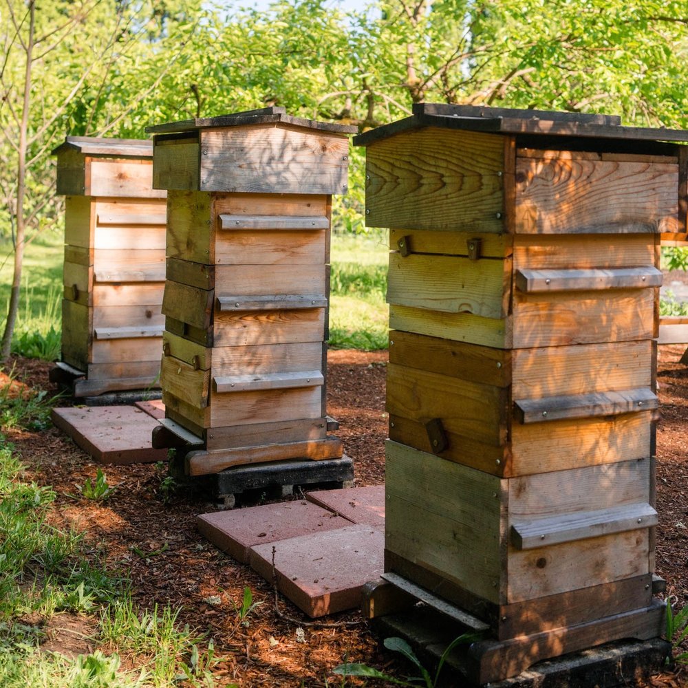 Introduction to Natural Beekeeping with the Warre Hive ...
