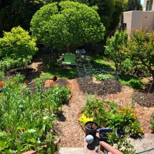 2026 Garden Series ~ The Whole Shebang